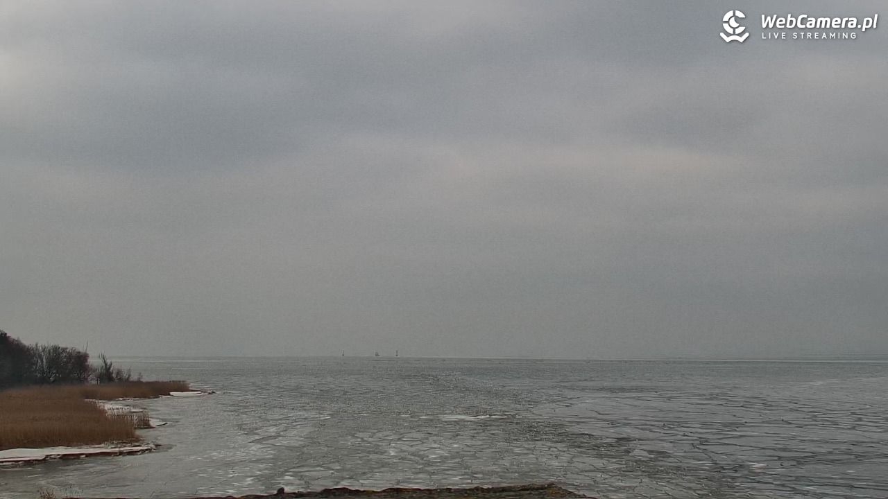 Marina Trzebież - 08 luty 2026, 12:58