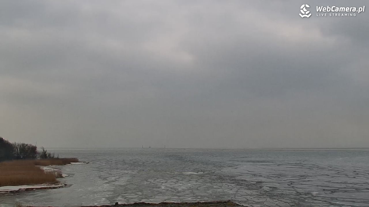 Marina Trzebież - 08 luty 2026, 11:47