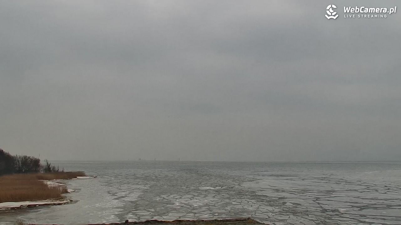 Marina Trzebież - 08 luty 2026, 11:10