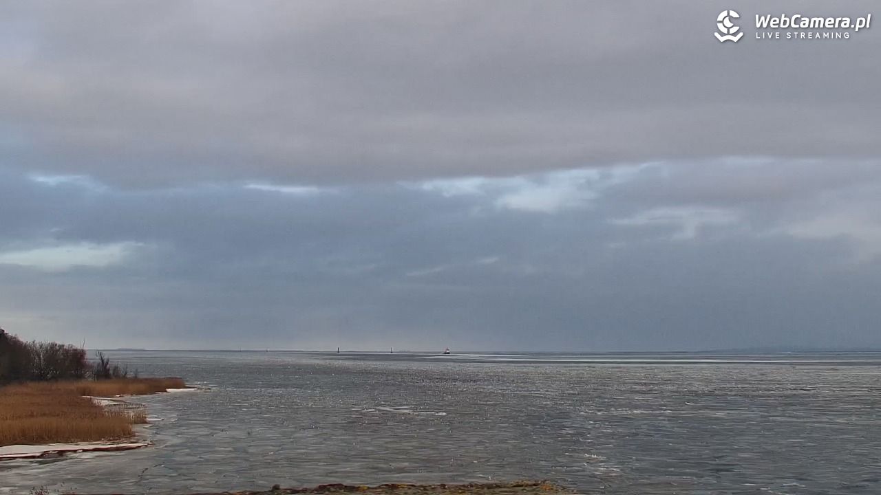 Marina Trzebież - 14 luty 2026, 10:01