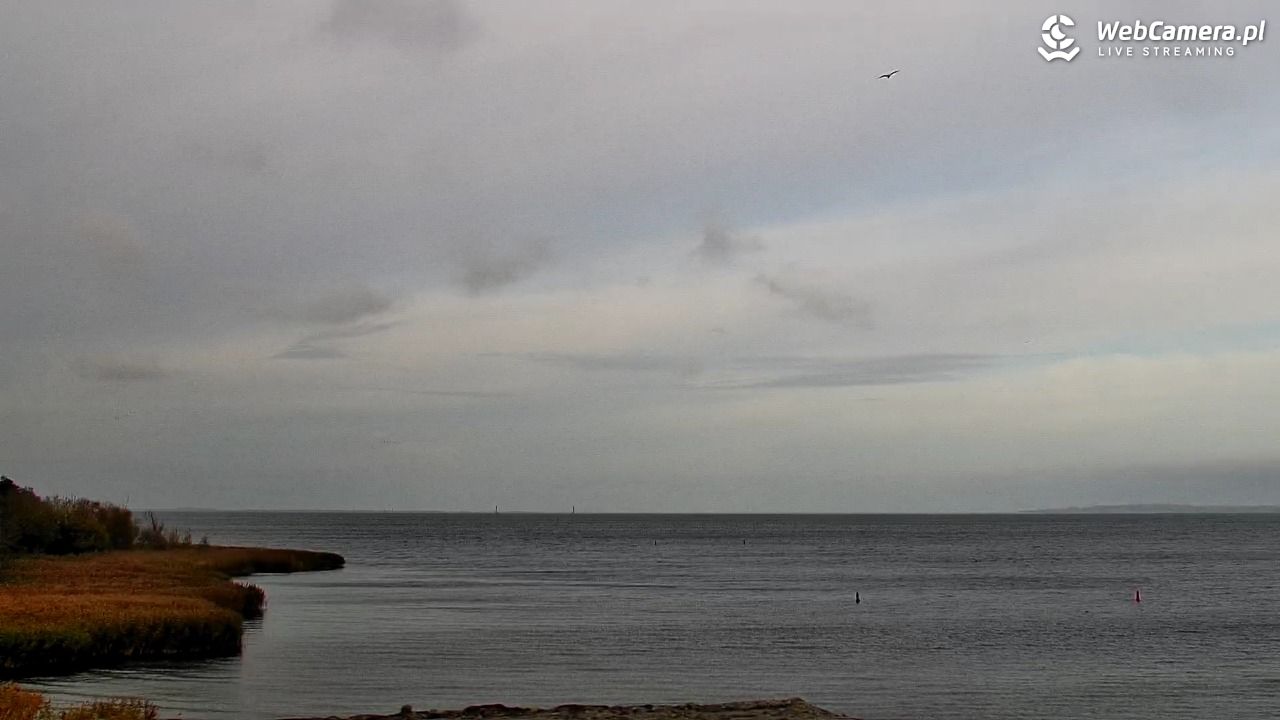 Marina Trzebież - 28 październik 2025, 10:13