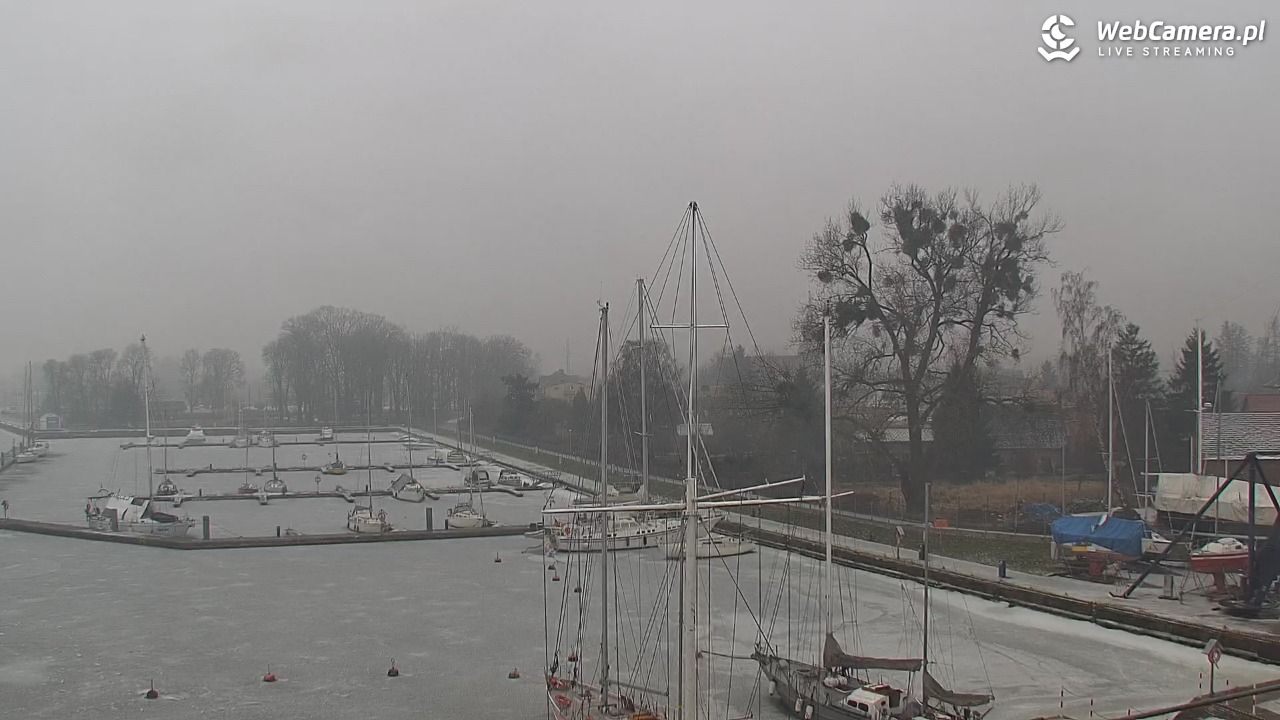 Marina Trzebież - 11 luty 2026, 10:12