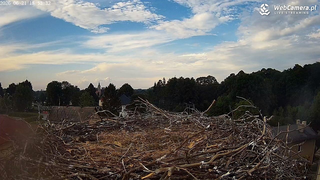 Międzyrzecze - widok na gniazdo bociana - 21 czerwiec 2026, 18:53