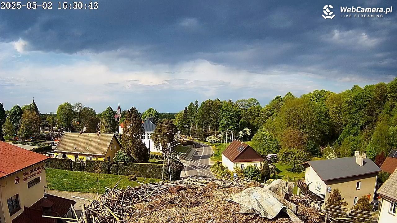 Międzyrzecze - widok na gniazdo bociana - 02 maj 2025, 16:31