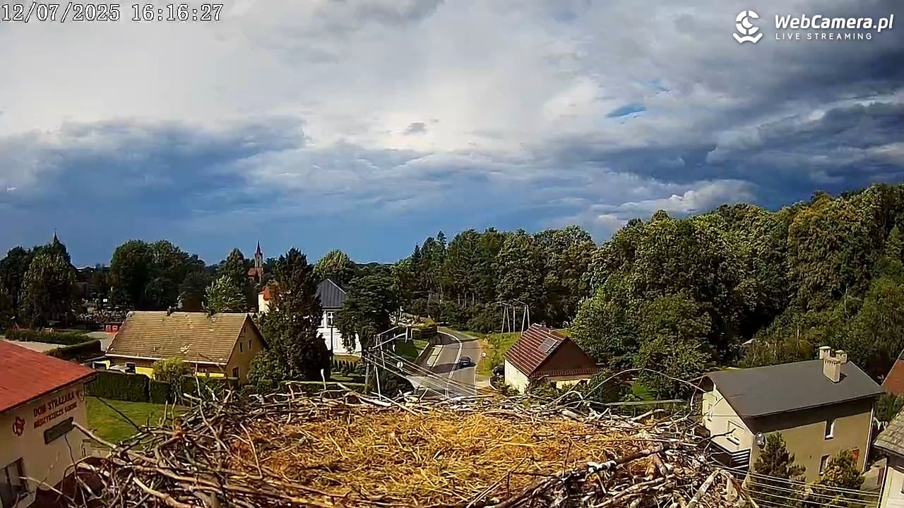 Międzyrzecze - widok na gniazdo bociana - 12 lipiec 2025, 16:16