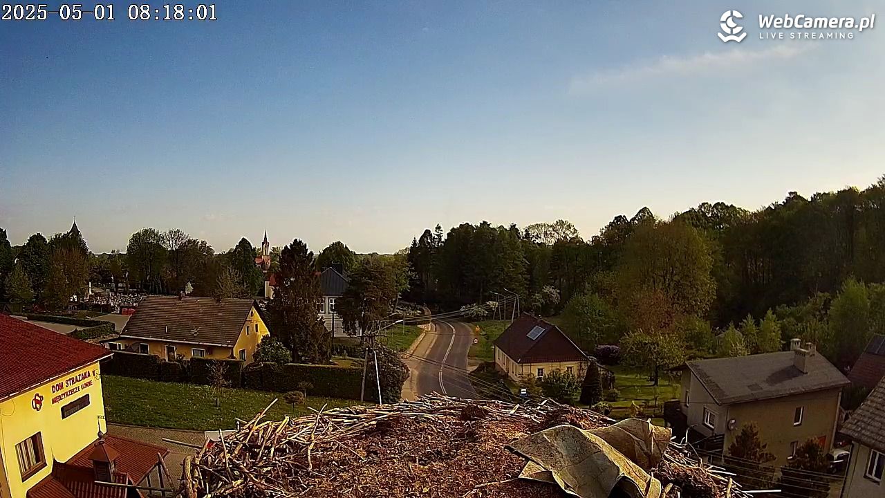 Międzyrzecze - widok na gniazdo bociana - 01 maj 2025, 08:18