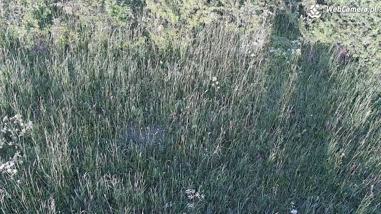 Wołkowyja Jezioro Solińskie - 27 maj 2026, 18:43