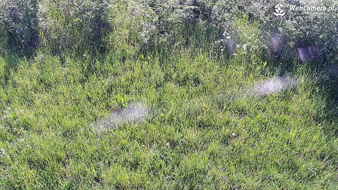 Wołkowyja Jezioro Solińskie - 24 maj 2026, 08:08