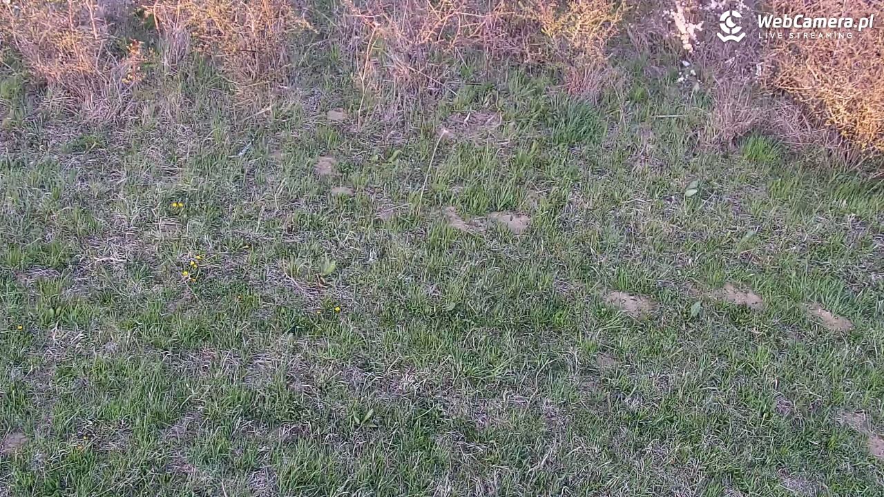 Wołkowyja Jezioro Solińskie - 26 kwiecień 2026, 19:05