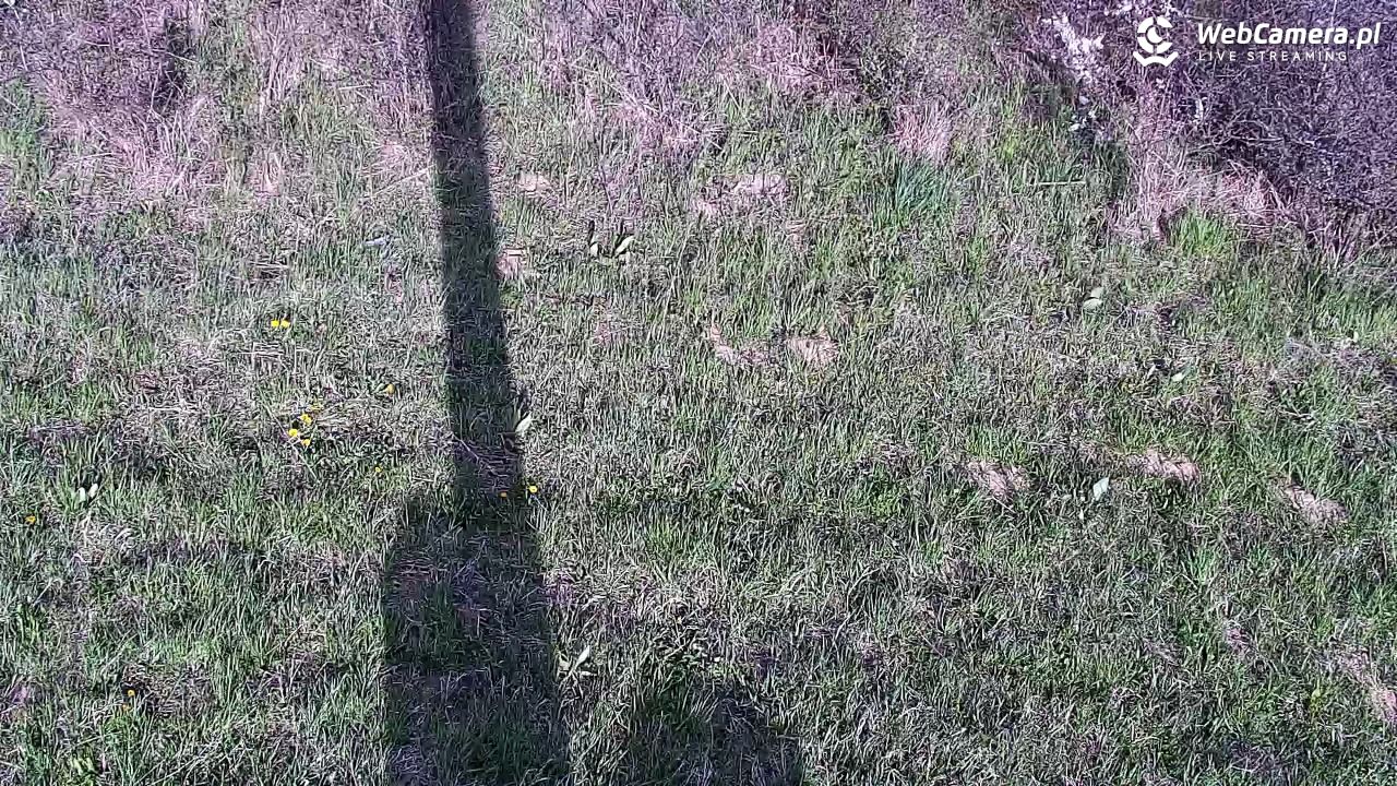 Wołkowyja Jezioro Solińskie - 26 kwiecień 2026, 16:48