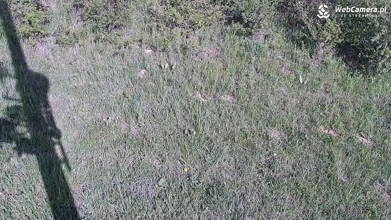 Wołkowyja Jezioro Solińskie - 13 maj 2026, 15:07