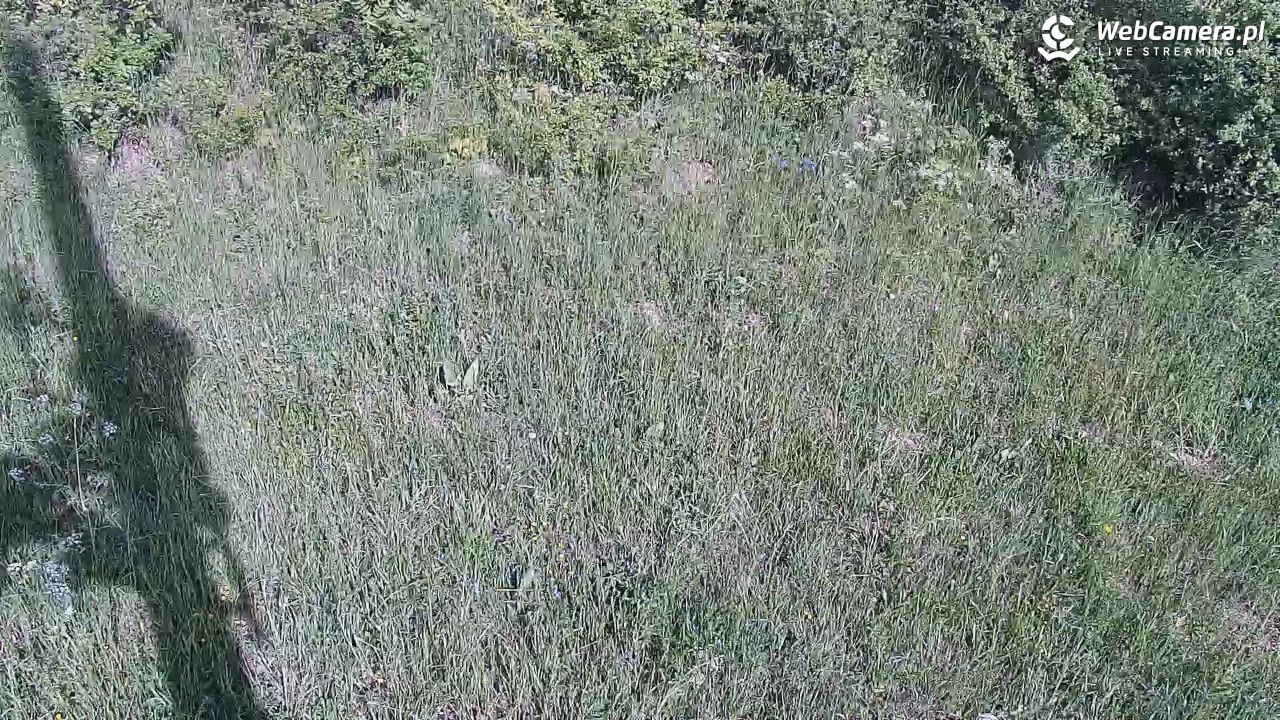 Wołkowyja Jezioro Solińskie - 25 maj 2026, 14:58