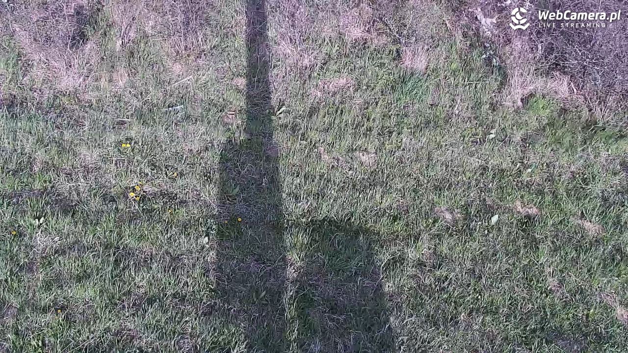 Wołkowyja Jezioro Solińskie - 26 kwiecień 2026, 17:15