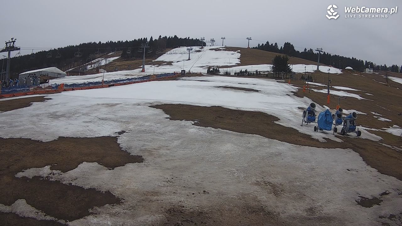 Zieleniec Sport Arena - Bartuś - 28 marzec 2026, 15:54