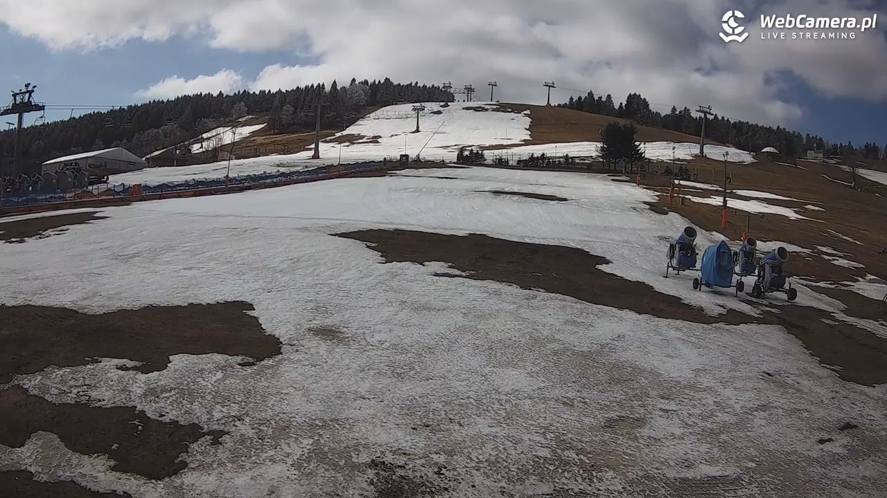 Zieleniec Sport Arena - Bartuś - 27 marzec 2026, 11:49