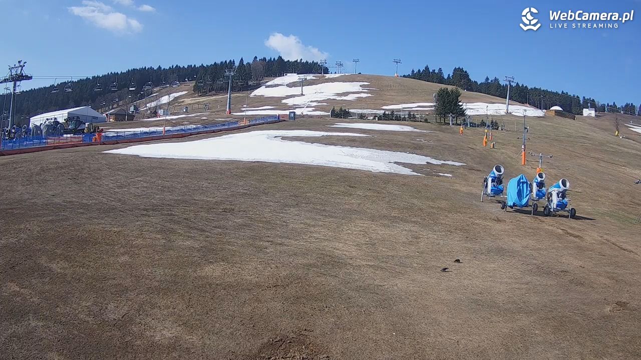 Zieleniec Sport Arena - Bartuś - 11 kwiecień 2026, 09:52
