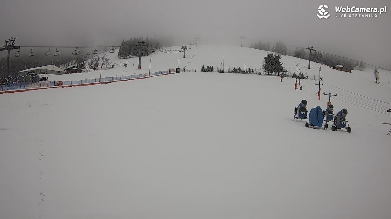 Zieleniec Sport Arena - Bartuś - 29 marzec 2026, 12:53