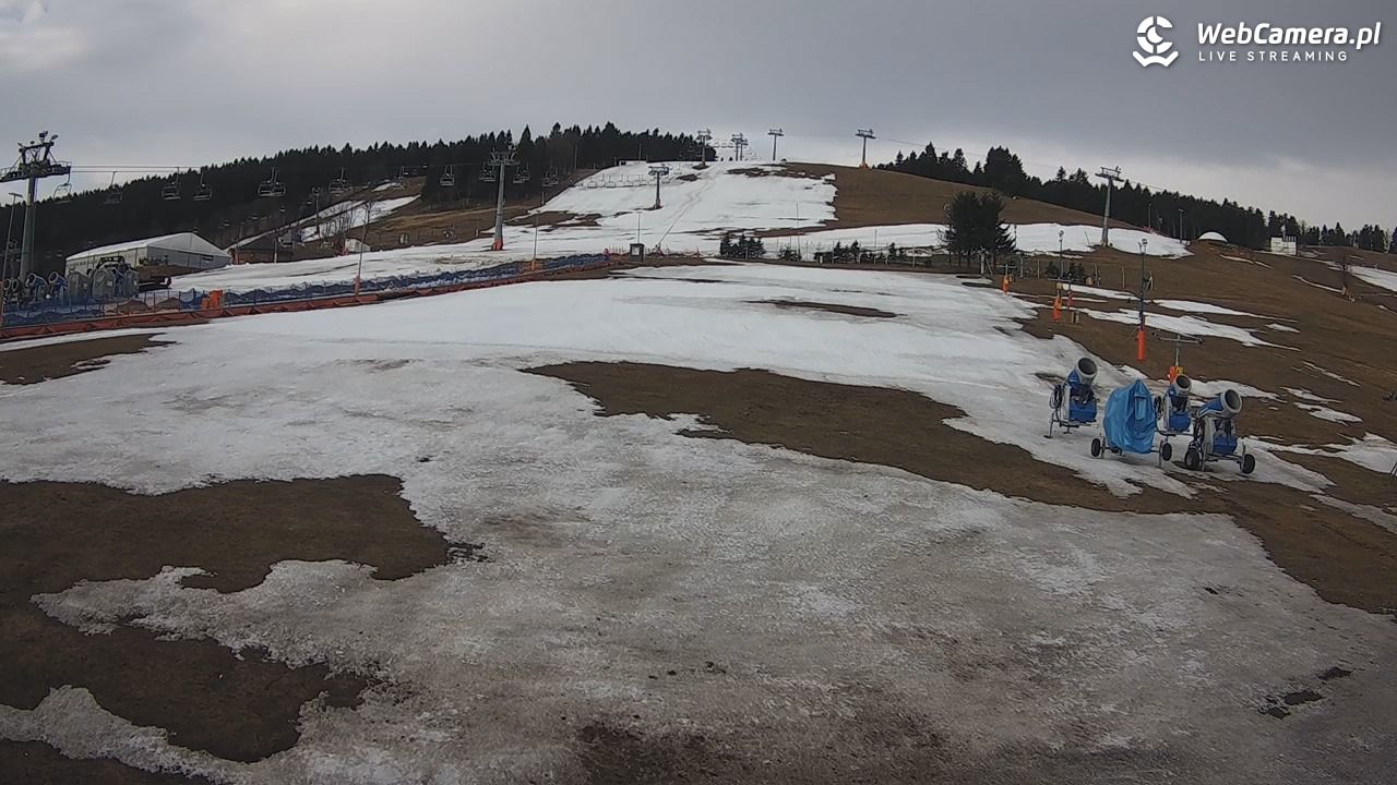 Zieleniec Sport Arena - Bartuś - 28 marzec 2026, 07:45