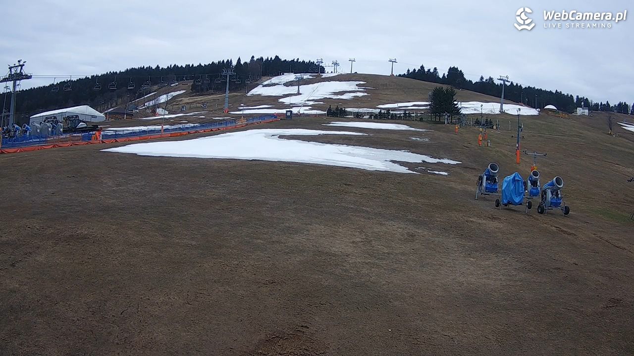 Zieleniec Sport Arena - Bartuś - 10 kwiecień 2026, 17:41