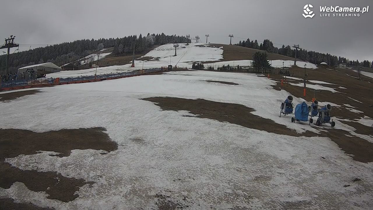 Zieleniec Sport Arena - Bartuś - 27 marzec 2026, 10:08