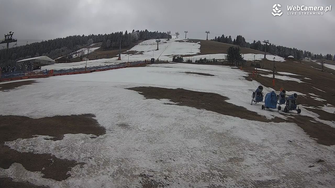 Zieleniec Sport Arena - Bartuś - 27 marzec 2026, 09:58