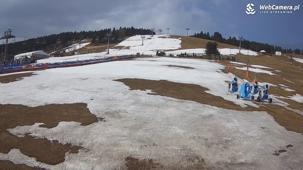 Zieleniec Sport Arena - Bartuś - 28 marzec 2026, 08:45