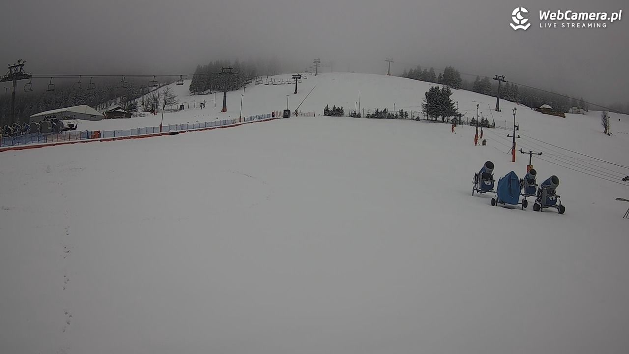Zieleniec Sport Arena - Bartuś - 29 marzec 2026, 12:28