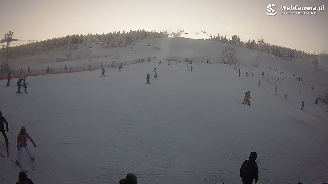 Zieleniec Sport Arena - Bartuś - 25 grudzień 2025, 15:25