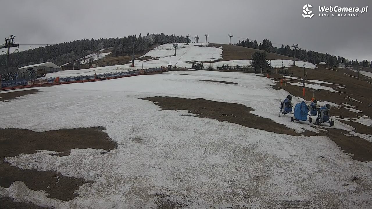 Zieleniec Sport Arena - Bartuś - 27 marzec 2026, 10:08