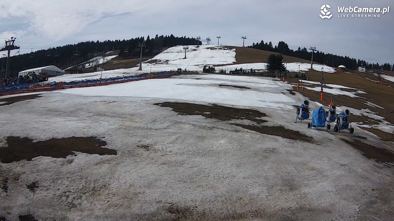 Zieleniec Sport Arena - Bartuś - 25 marzec 2026, 09:46