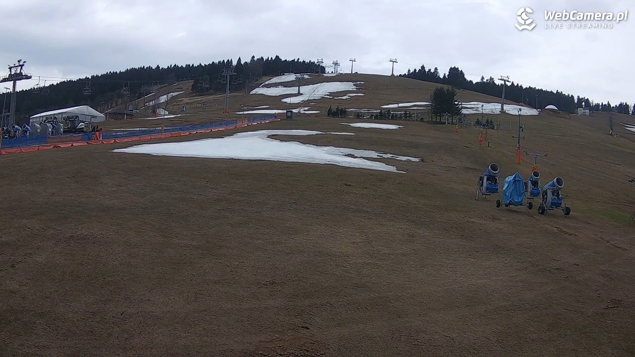 Zieleniec Sport Arena - Bartuś - 14 kwiecień 2026, 08:32