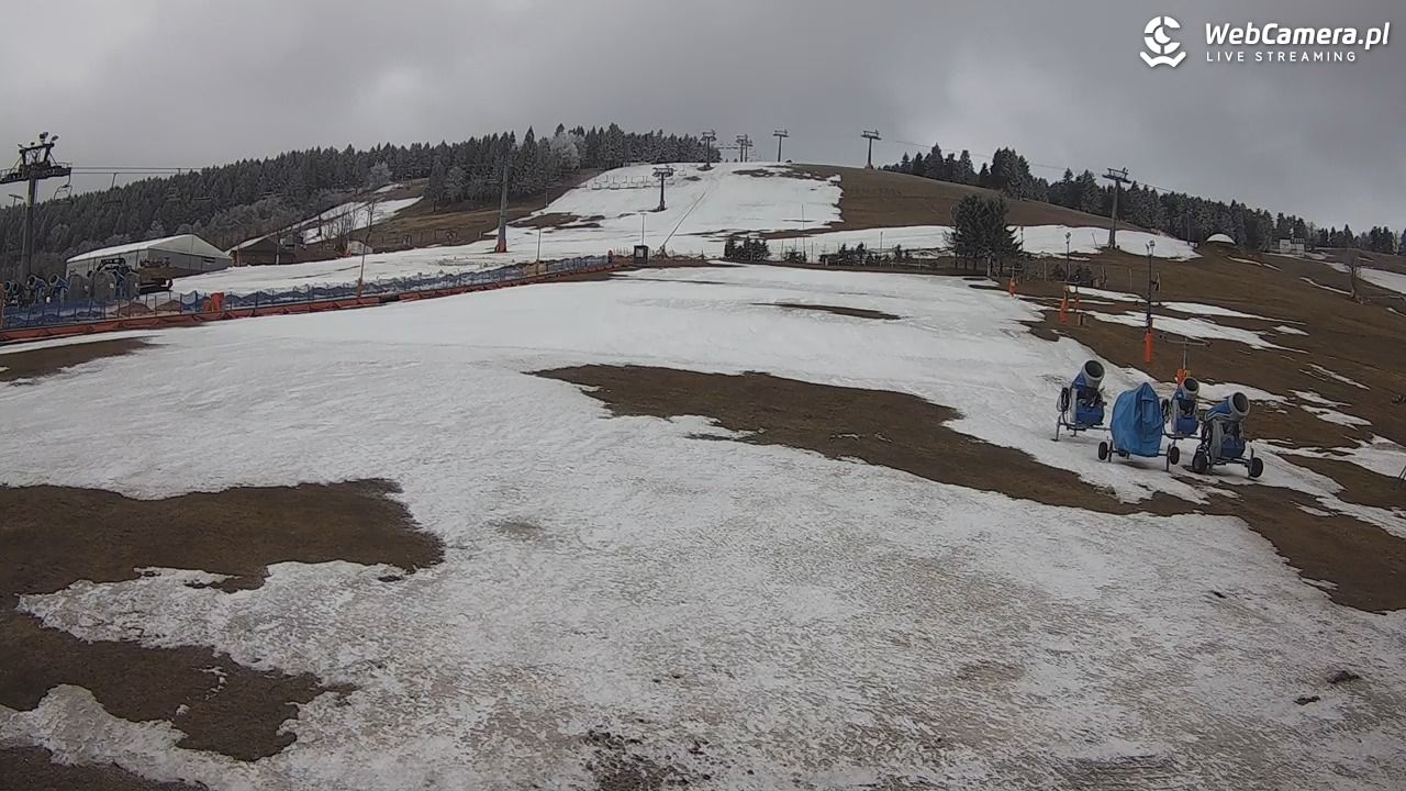 Zieleniec Sport Arena - Bartuś - 27 marzec 2026, 10:16