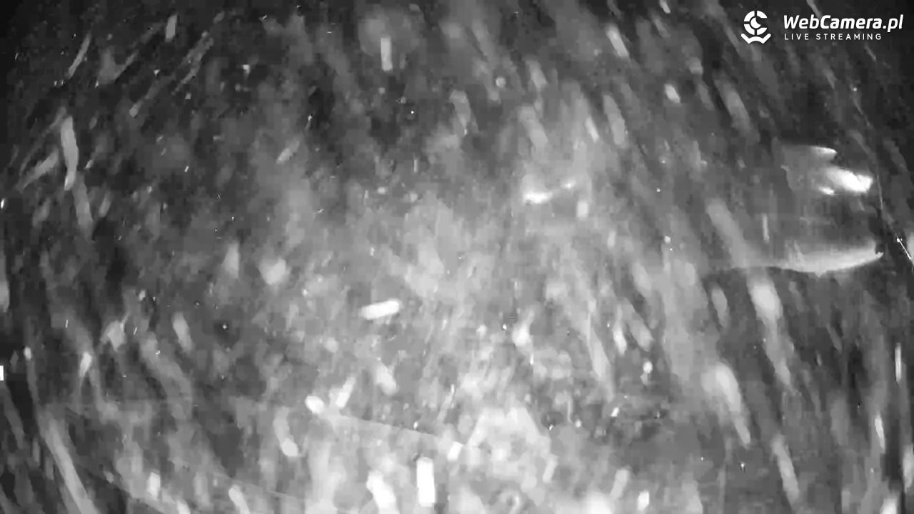 Beskid Sport Arena - SZCZYRK - 29 listopad 2025, 23:06