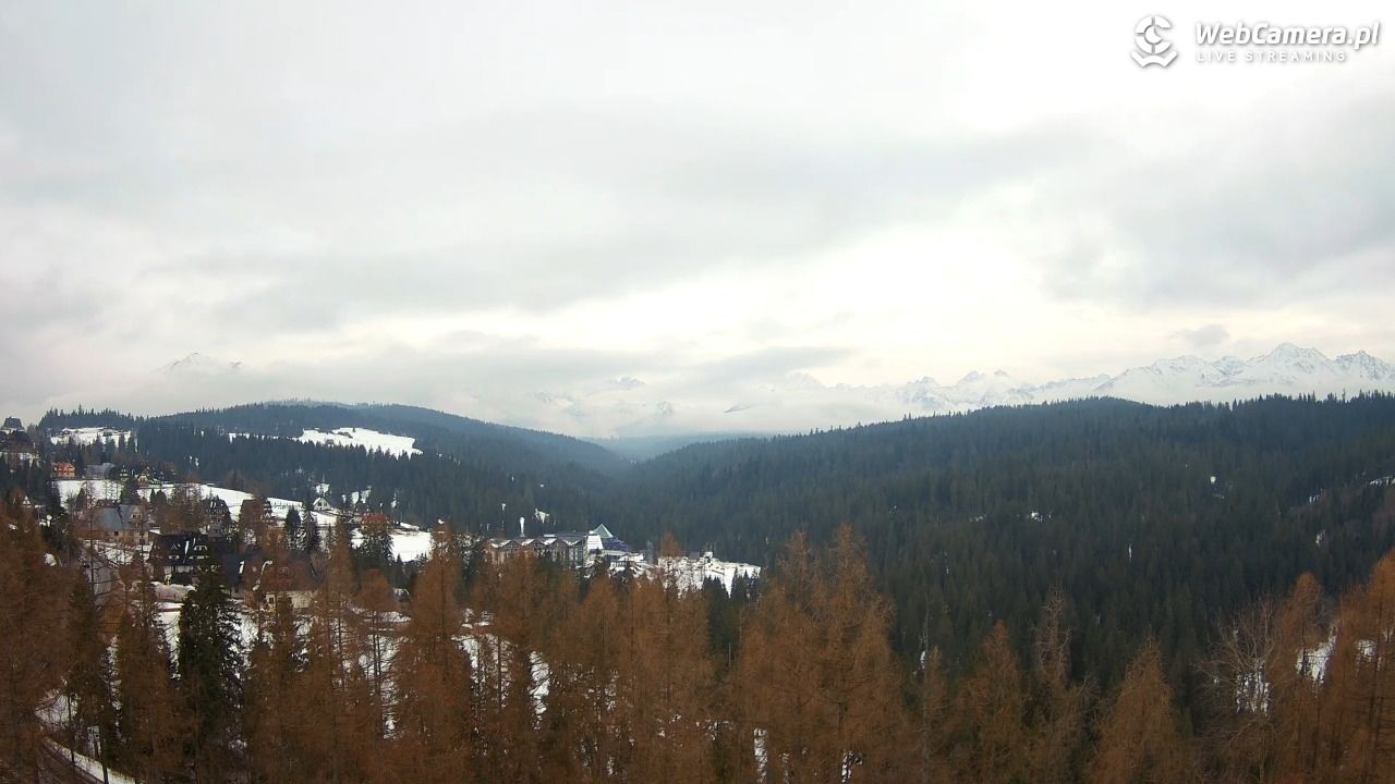 BUKOVINA Resort - widok na hotel, termy i spa - 26 styczeń 2026, 14:29