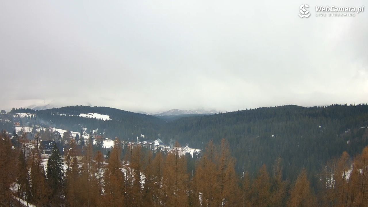 BUKOVINA Resort - widok na hotel, termy i spa - 26 styczeń 2026, 11:14