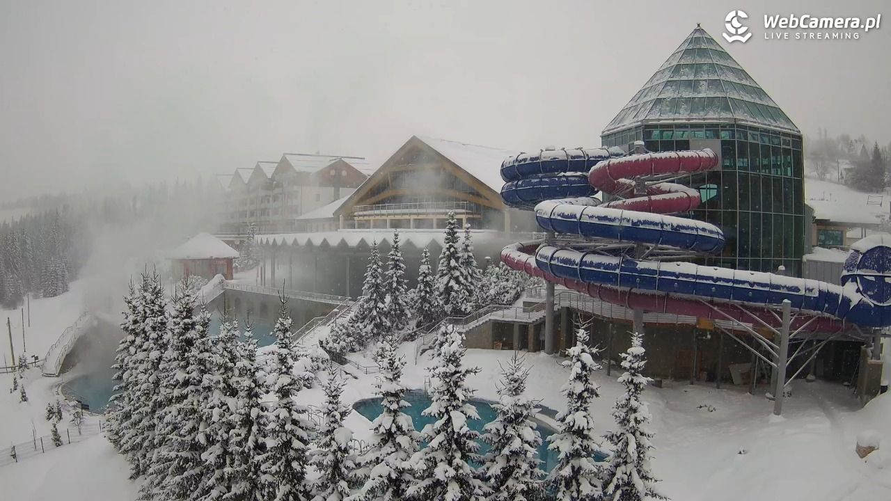 TERMY BUKOVINA - 13 styczeń 2026, 10:39