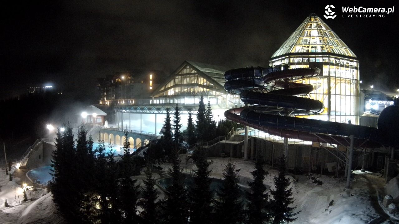 TERMY BUKOVINA - 17 styczeń 2026, 01:33