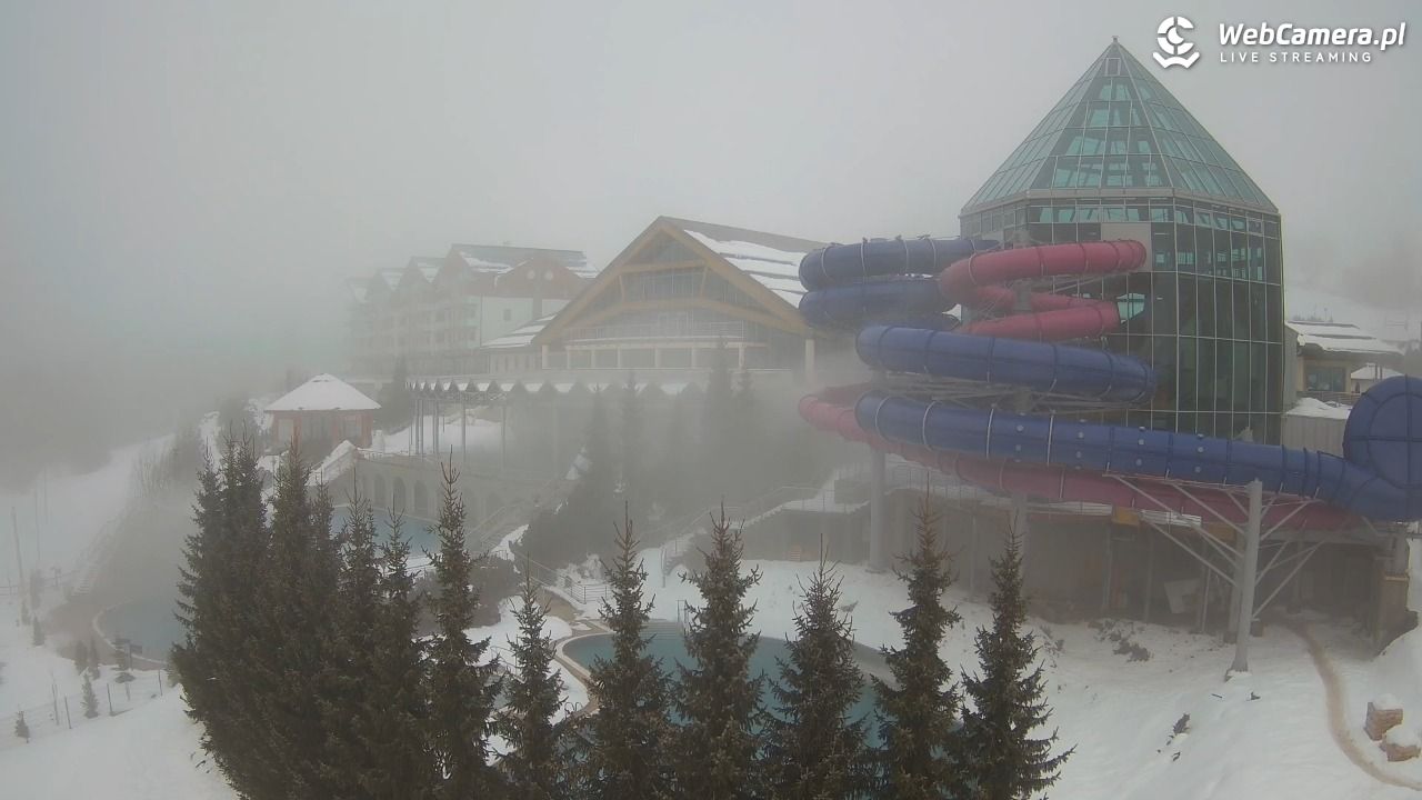 TERMY BUKOVINA - 16 styczeń 2026, 12:31
