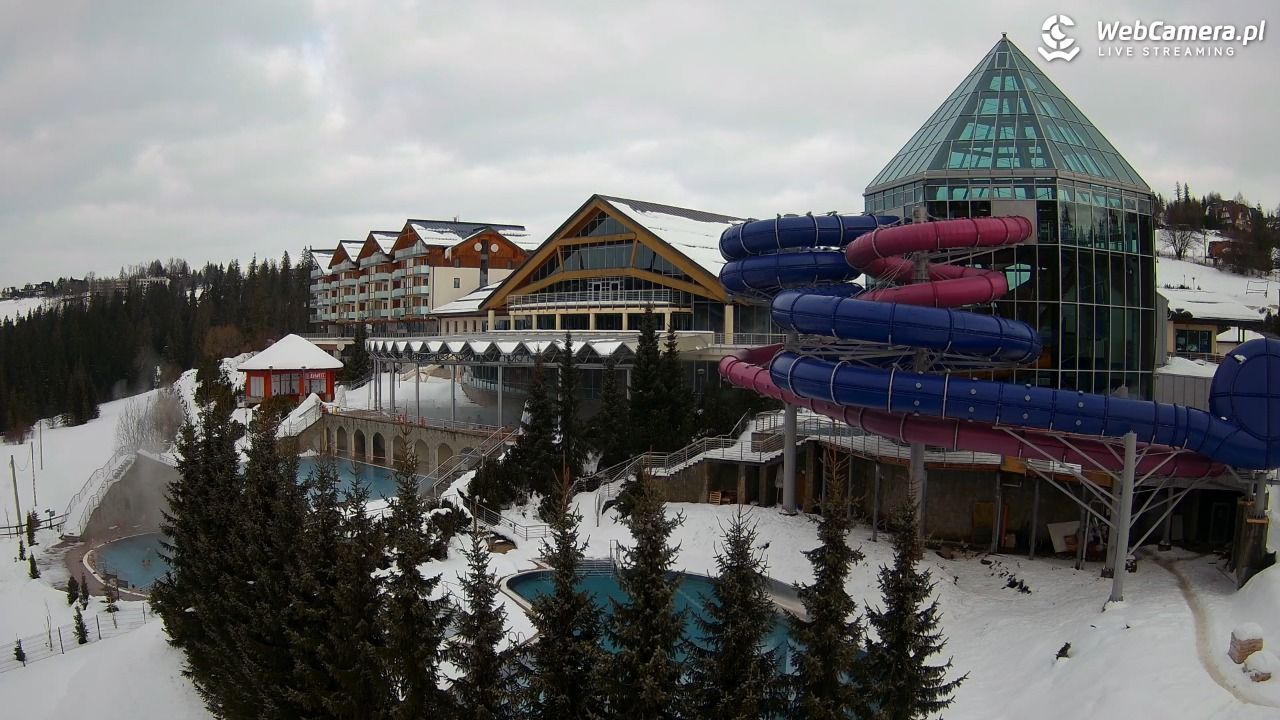 TERMY BUKOVINA - 15 styczeń 2026, 11:51