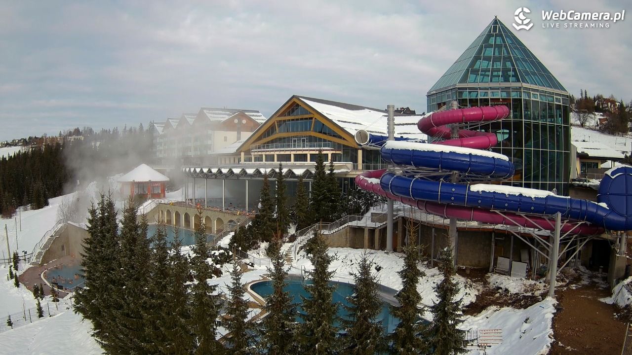 TERMY BUKOVINA - 29 listopad 2025, 11:26