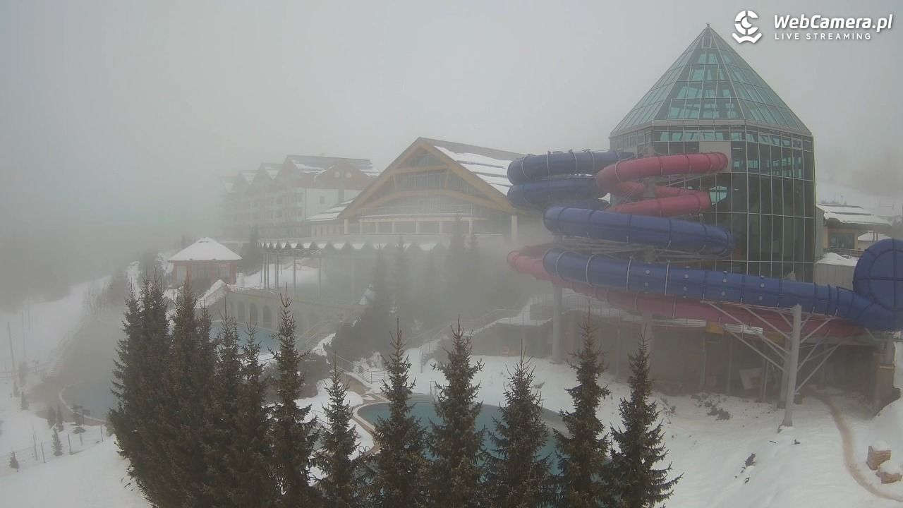 TERMY BUKOVINA - 16 styczeń 2026, 12:31