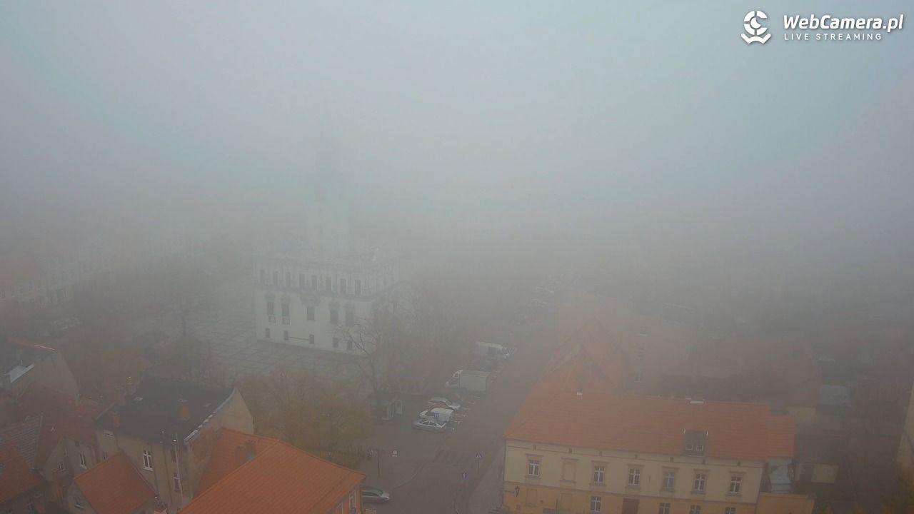 Chełmno - widok na starówkę - 08 listopad 2025, 10:17