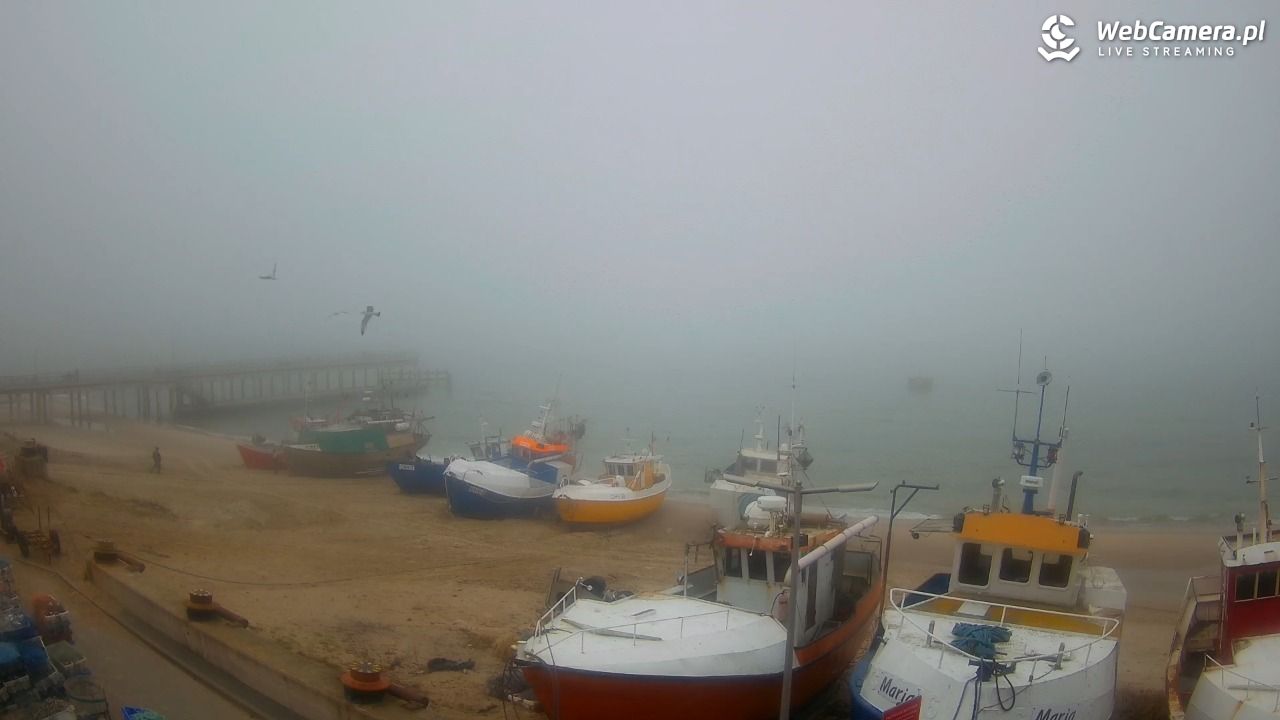 CHŁOPY - widok na kutry rybackie - 17 marzec 2026, 14:55
