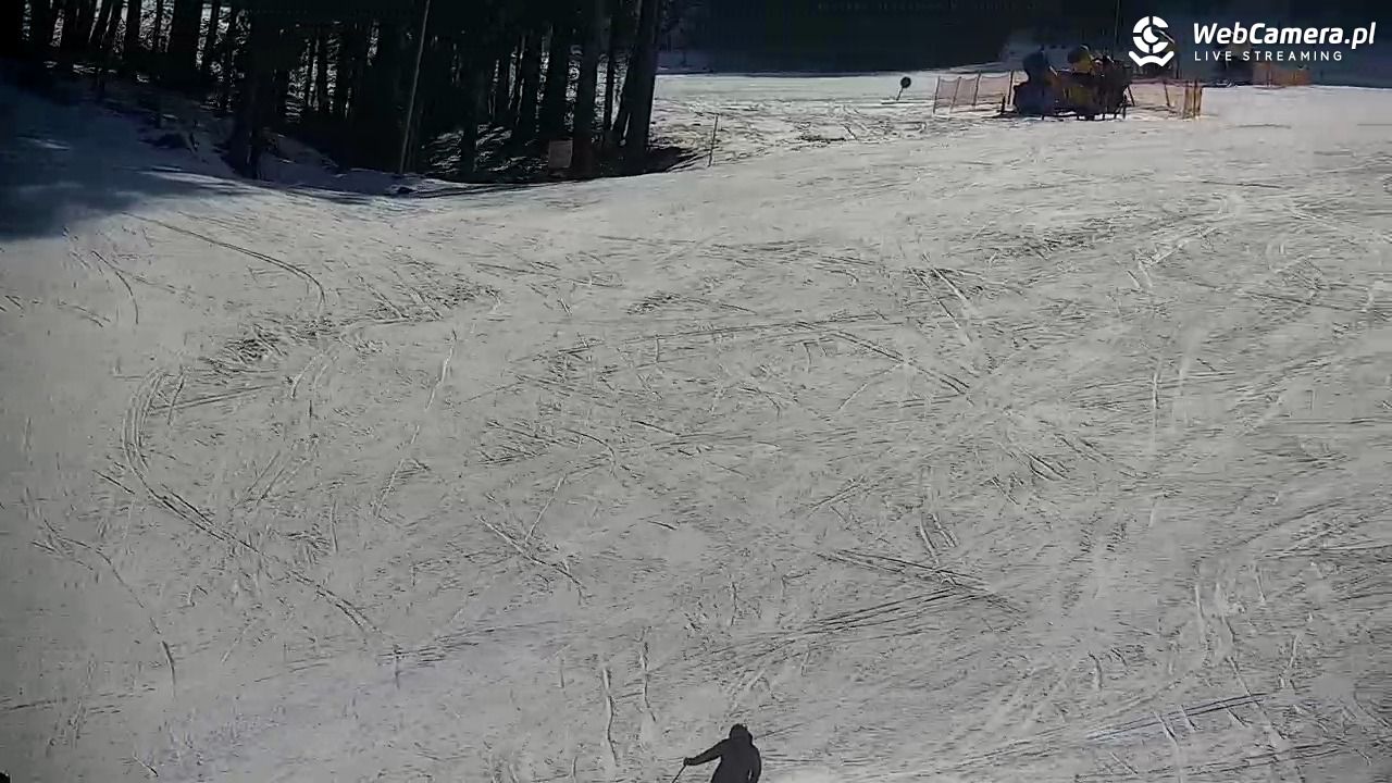 CIENIAWA - Ski - 21 luty 2026, 11:05