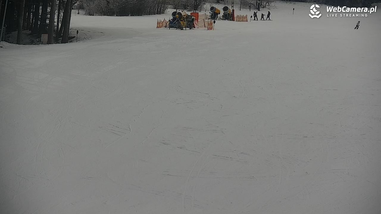 CIENIAWA - Ski - 31 styczeń 2026, 10:38