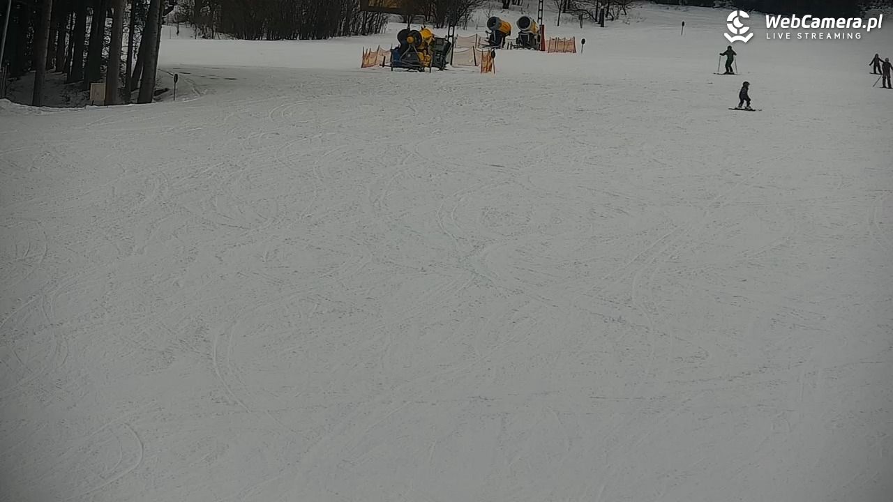 CIENIAWA - Ski - 25 styczeń 2026, 14:40