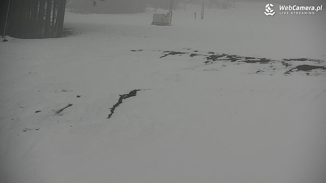 CIENIAWA - Ski - 28 marzec 2026, 14:20