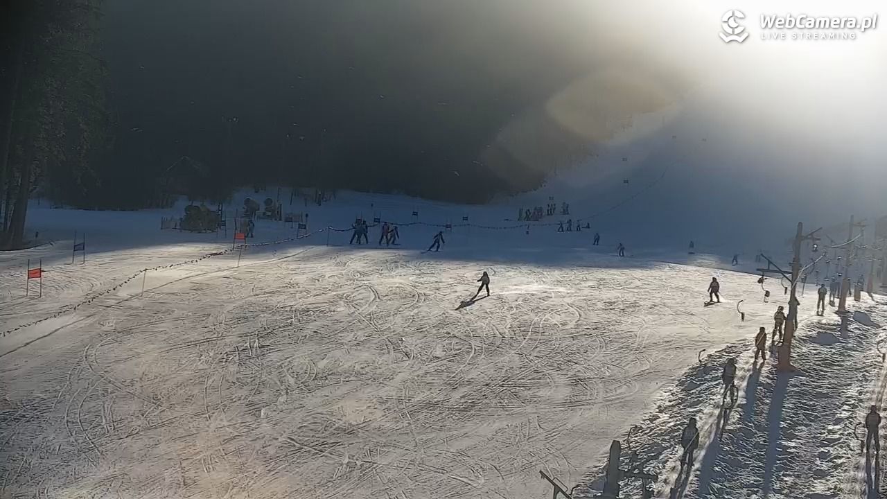 CIENIAWA - Ski - 20 styczeń 2026, 10:55