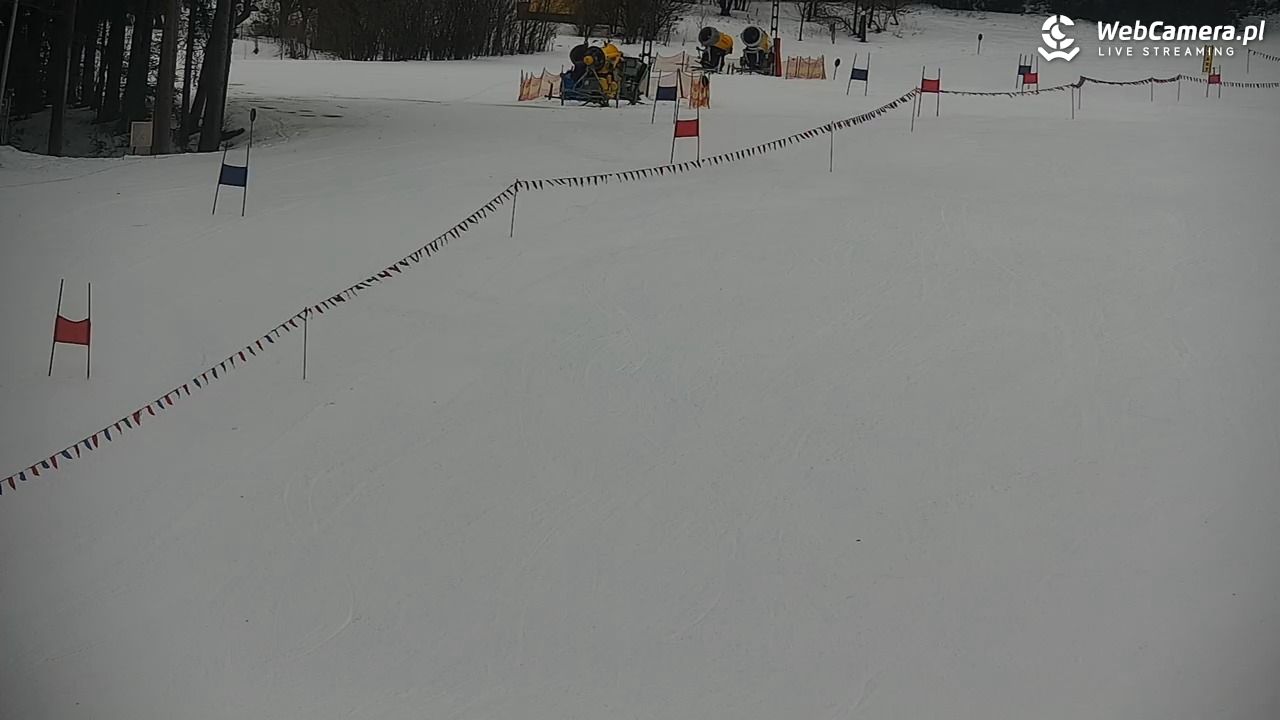 CIENIAWA - Ski - 26 styczeń 2026, 09:33