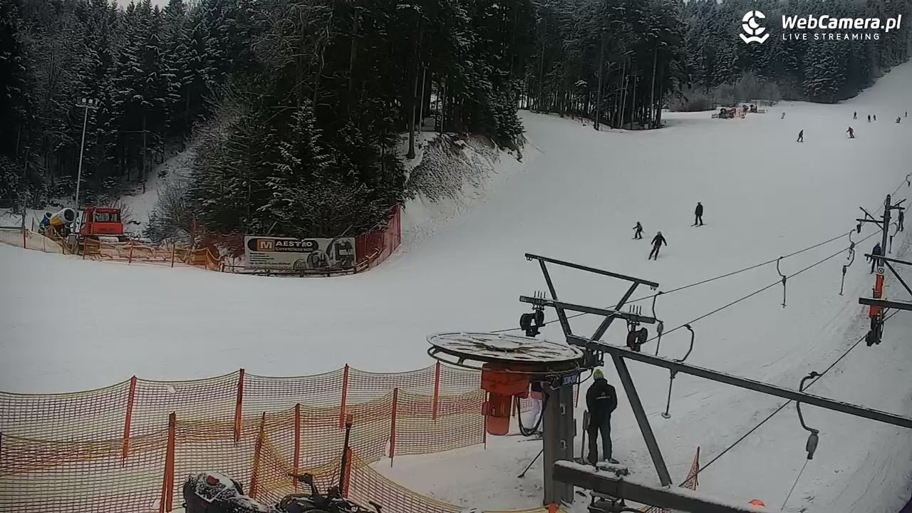 CIENIAWA - Ski - 31 styczeń 2026, 14:47